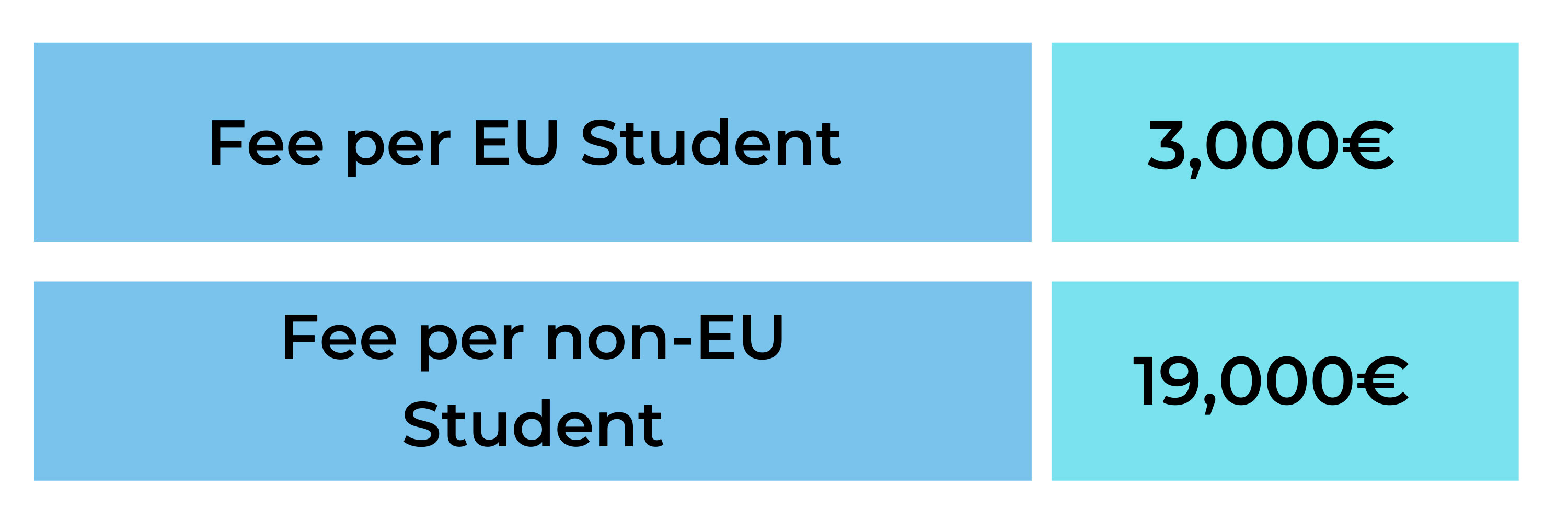 Fee table for EU Students (3,000€) and for Non-EU Students (19,000€)