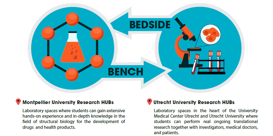 Research HUBs