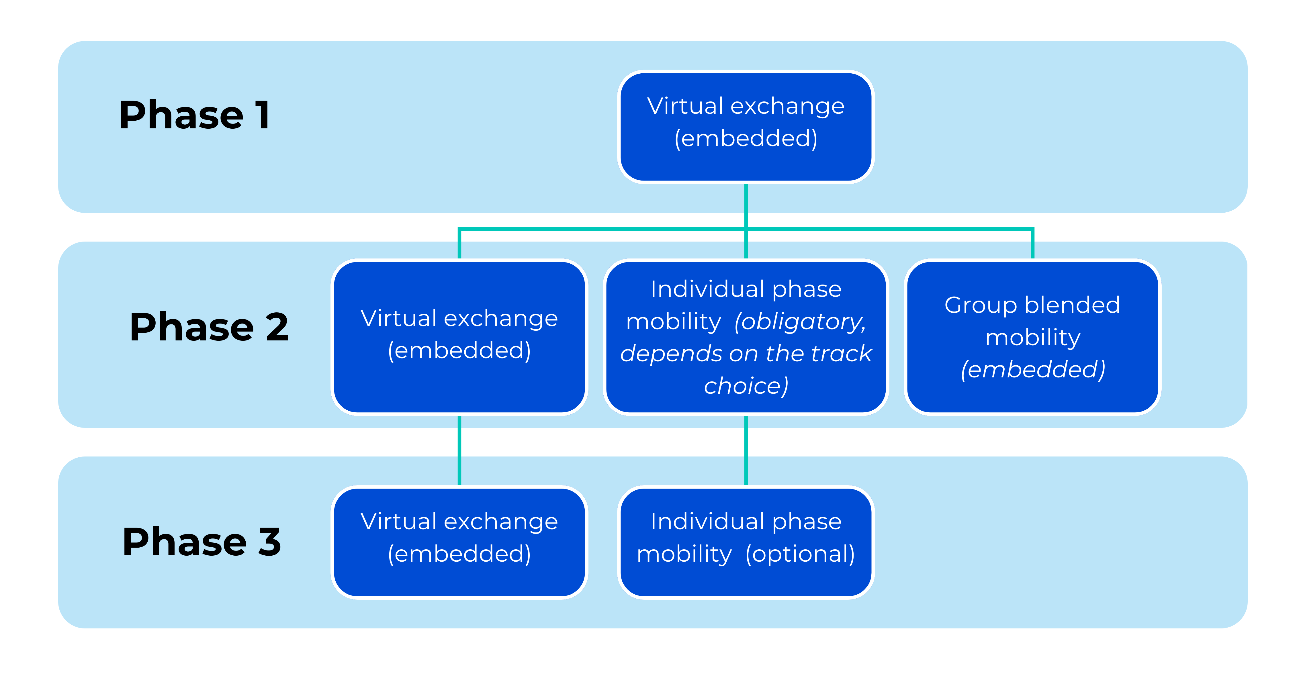 Phase 1 - Virtual exchange (embedded), then we go to Phase 2: Virtual Exchange (embedded), Individual phase mobility (obligatory, depends on the track choice), group blended mobility (embedded), then in phase 3 - Vitural exchange (embeded) and individual phase mobility (optional). 