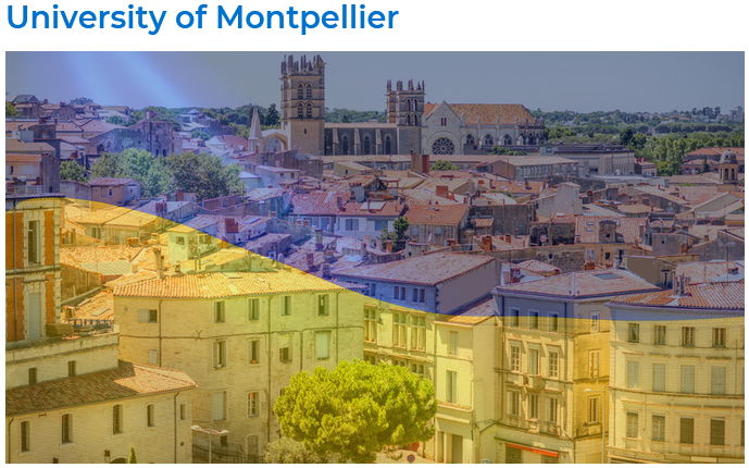 University of Montpellier 