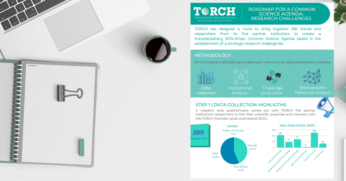 TORCH_infographic