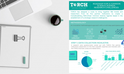 TORCH_infographic