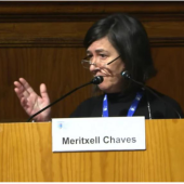 Photo of Meritzell Chaves speaking in a conference